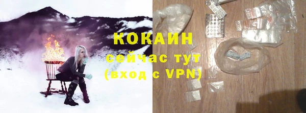 стаф Киренск