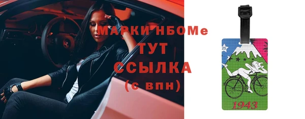 стаф Киренск