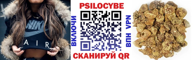 Купить закладки Дальнегорск Галлюциногенные грибы прущие грибы